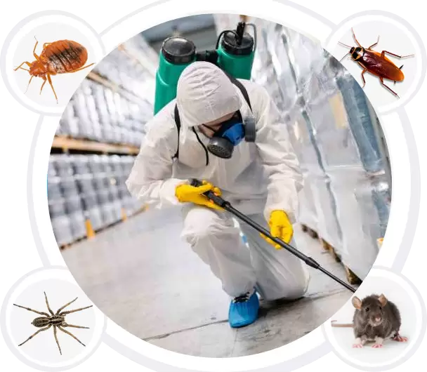 Pest Control
